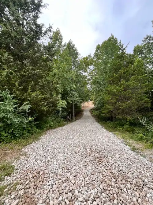 Gravel driveway through wooded residential property.