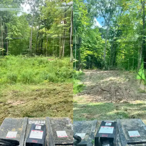 Before and after land clearing and brush removal on wooded property